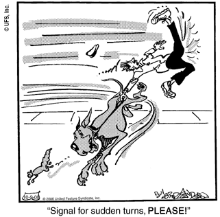 marmaduke